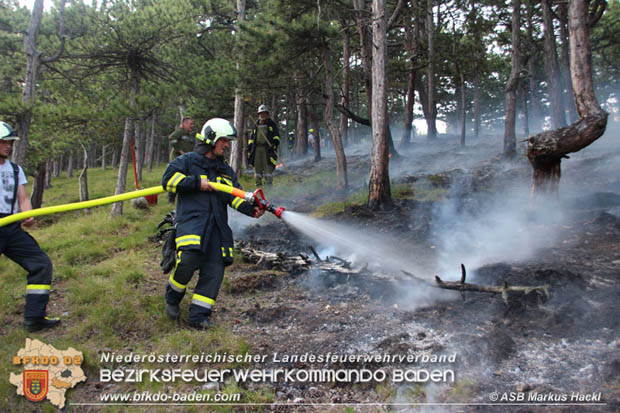 20170624 Waldbrand bei Grillenberg Gemeinde Hernstein  Foto: © ASB Markus Hackl
