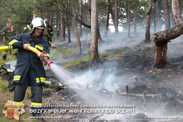 20170624 Waldbrand bei Grillenberg Gemeinde Hernstein  Foto: © ASB Markus Hackl