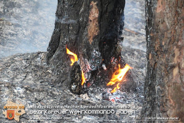 20170624 Waldbrand bei Grillenberg Gemeinde Hernstein  Foto: © ASB Markus Hackl