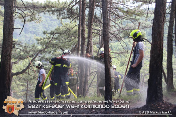 20170624 Waldbrand bei Grillenberg Gemeinde Hernstein  Foto: © ASB Markus Hackl