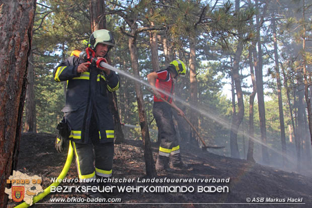 20170624 Waldbrand bei Grillenberg Gemeinde Hernstein  Foto: © ASB Markus Hackl
