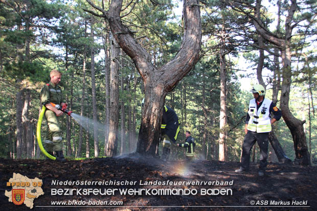 20170624 Waldbrand bei Grillenberg Gemeinde Hernstein  Foto: © ASB Markus Hackl