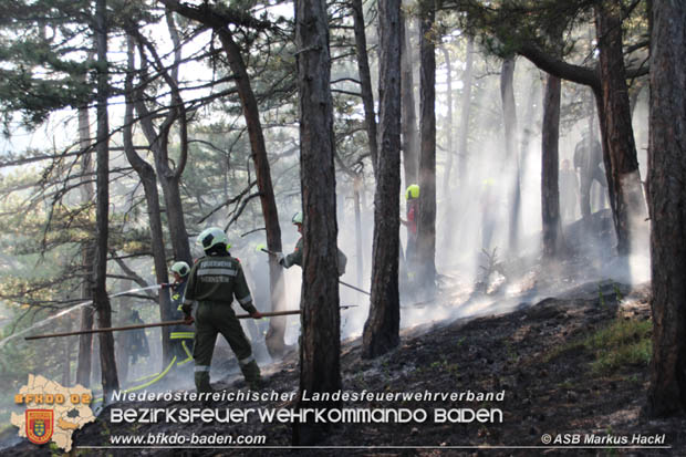 20170624 Waldbrand bei Grillenberg Gemeinde Hernstein  Foto: © ASB Markus Hackl