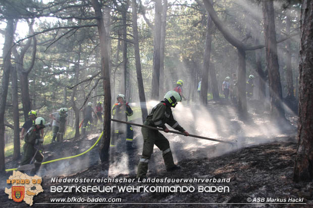 20170624 Waldbrand bei Grillenberg Gemeinde Hernstein  Foto: © ASB Markus Hackl