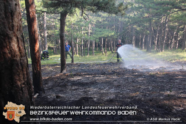 20170624 Waldbrand bei Grillenberg Gemeinde Hernstein  Foto: © ASB Markus Hackl