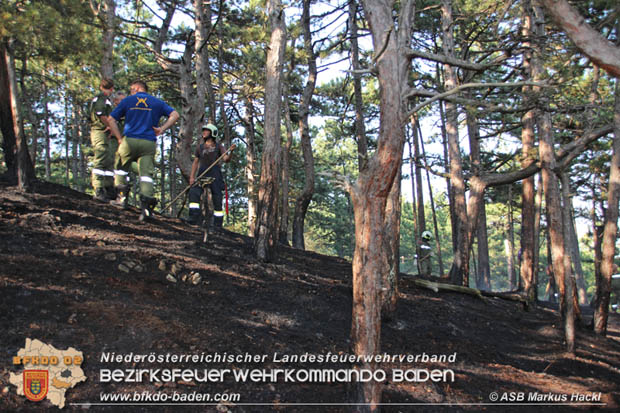 20170624 Waldbrand bei Grillenberg Gemeinde Hernstein  Foto: © ASB Markus Hackl
