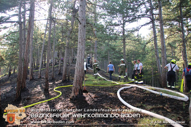 20170624 Waldbrand bei Grillenberg Gemeinde Hernstein  Foto: © ASB Markus Hackl