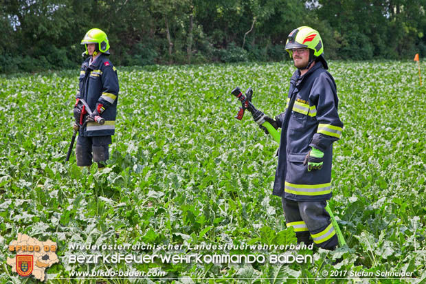 20170707 Vollbrand eines Mähdreschers zwischen Pottendorf und Tattendorf Foto: © Stefan Schneider BFK Baden 20170707 Vollbrand eines Mähdreschers zwischen Pottendorf und Tattendorf Foto: © Stefan Schneider BFK Baden