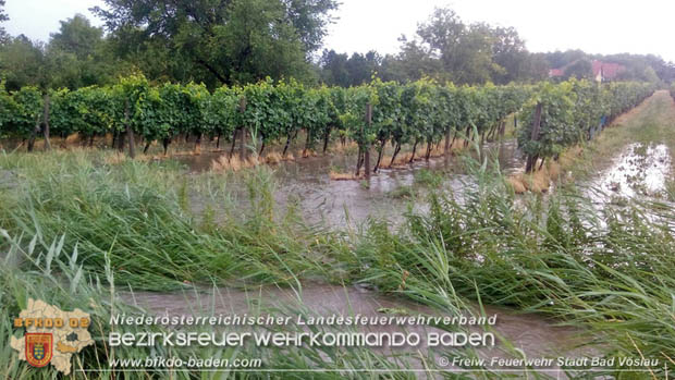 20170709 Unwettereinsatz in Bad Vöslau Foto: © FF Stadt Bad Vöslau 20170709 Unwettereinsatz in Bad Vöslau Foto: © FF Stadt Bad Vöslau