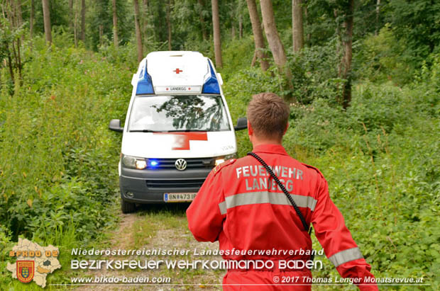 20170714 Erfolgreiche Personenssuche bei Landegg nach vermissten 84-jährigen Pensionisten  Foto: © Thomas Lenger Monatsrevue.at