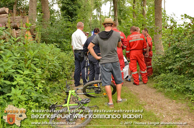 20170714 Erfolgreiche Personenssuche bei Landegg nach vermissten 84-jährigen Pensionisten  Foto: © Thomas Lenger Monatsrevue.at