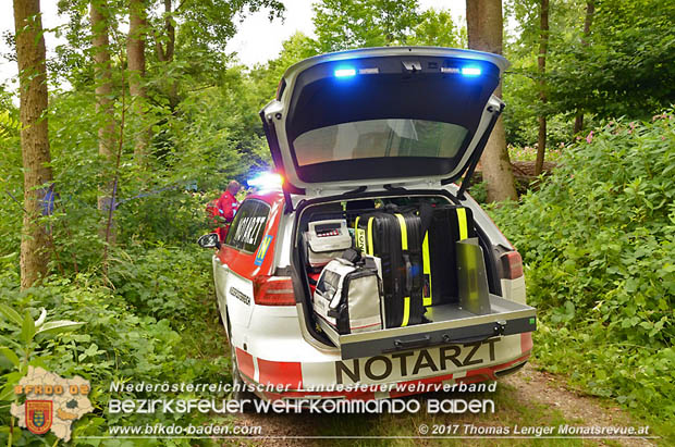 20170714 Erfolgreiche Personenssuche bei Landegg nach vermissten 84-jährigen Pensionisten  Foto: © Thomas Lenger Monatsrevue.at
