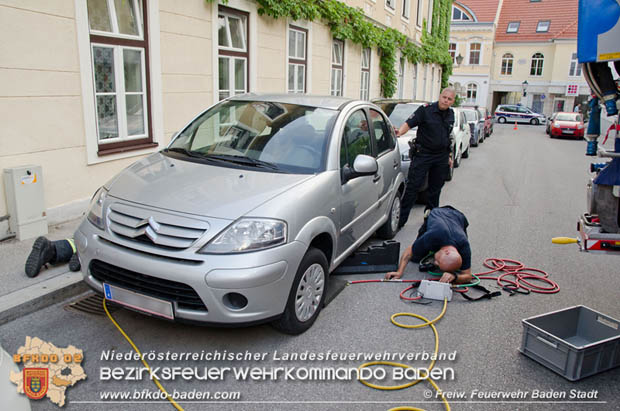 Junger "Stubentiger" verschanzte sich unter Motorhaube eines geparkten Pkws im Stadtzentrum von Baden Foto: © Freiwillige Feuerwehr Baden-Stadt / Markus Prendinger Junger "Stubentiger" verschanzte sich unter Motorhaube eines geparkten Pkws im Stadtzentrum von Baden Foto: © Freiwillige Feuerwehr Baden-Stadt / Markus Prendinger