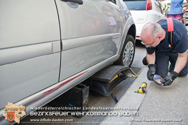 Junger "Stubentiger" verschanzte sich unter Motorhaube eines geparkten Pkws im Stadtzentrum von Baden Foto: © Freiwillige Feuerwehr Baden-Stadt / Markus Prendinger Junger "Stubentiger" verschanzte sich unter Motorhaube eines geparkten Pkws im Stadtzentrum von Baden Foto: © Freiwillige Feuerwehr Baden-Stadt / Markus Prendinger