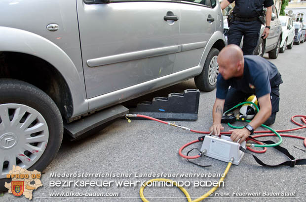 Junger "Stubentiger" verschanzte sich unter Motorhaube eines geparkten Pkws im Stadtzentrum von Baden Foto: © Freiwillige Feuerwehr Baden-Stadt / Markus Prendinger Junger "Stubentiger" verschanzte sich unter Motorhaube eines geparkten Pkws im Stadtzentrum von Baden Foto: © Freiwillige Feuerwehr Baden-Stadt / Markus Prendinger