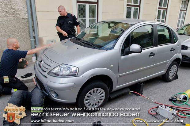 Junger "Stubentiger" verschanzte sich unter Motorhaube eines geparkten Pkws im Stadtzentrum von Baden Foto: © Freiwillige Feuerwehr Baden-Stadt / Markus Prendinger Junger "Stubentiger" verschanzte sich unter Motorhaube eines geparkten Pkws im Stadtzentrum von Baden Foto: © Freiwillige Feuerwehr Baden-Stadt / Markus Prendinger