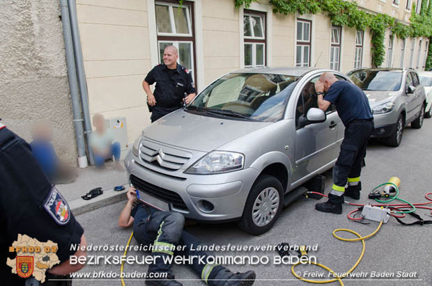Junger "Stubentiger" verschanzte sich unter Motorhaube eines geparkten Pkws im Stadtzentrum von Baden  Foto: © Freiwillige Feuerwehr Baden-Stadt / Markus Prendinger