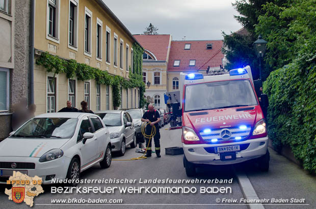 Junger "Stubentiger" verschanzte sich unter Motorhaube eines geparkten Pkws im Stadtzentrum von Baden  Foto: © Freiwillige Feuerwehr Baden-Stadt / Markus Prendinger