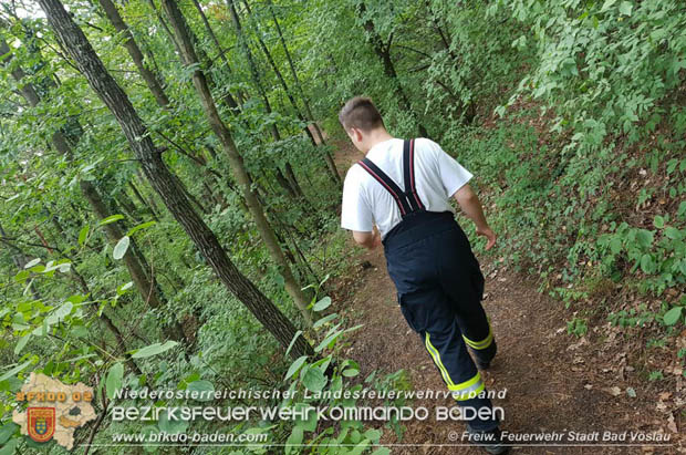 20170807 Personensuche in Bad Vöslau Foto: © Phillipp Kratochwill FF Stadt Bad Vöslau 20170807 Personensuche in Bad Vöslau Foto: © Phillipp Kratochwill FF Stadt Bad Vöslau