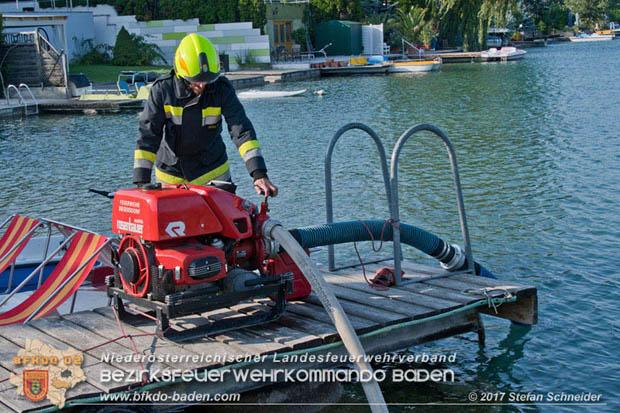 20170808 Flaechenbrand im Foehrenwald bei Haschendorf Grossmittel Bezirk Wr.Neustadt  Foto: © Stefan Schneider BFK Baden