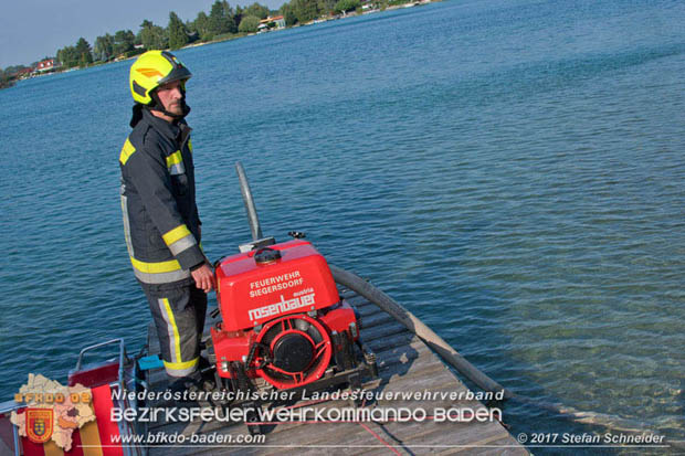 20170808 Flaechenbrand im Foehrenwald bei Haschendorf Grossmittel Bezirk Wr.Neustadt  Foto: © Stefan Schneider BFK Baden