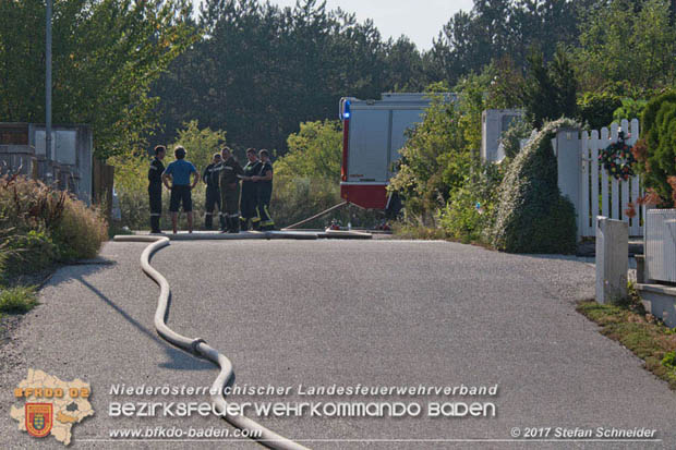 20170808 Flaechenbrand im Foehrenwald bei Haschendorf Grossmittel Bezirk Wr.Neustadt  Foto: © Stefan Schneider BFK Baden