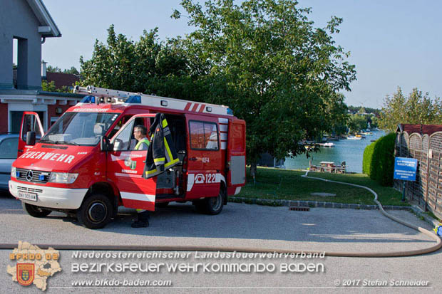 20170808 Flaechenbrand im Foehrenwald bei Haschendorf Grossmittel Bezirk Wr.Neustadt  Foto: © Stefan Schneider BFK Baden