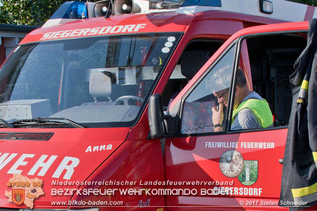 20170808 Flaechenbrand im Foehrenwald bei Haschendorf Grossmittel Bezirk Wr.Neustadt  Foto: © Stefan Schneider BFK Baden