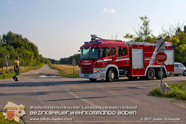 20170808 Flaechenbrand im Foehrenwald bei Haschendorf Grossmittel Bezirk Wr.Neustadt  Foto: © Stefan Schneider BFK Baden