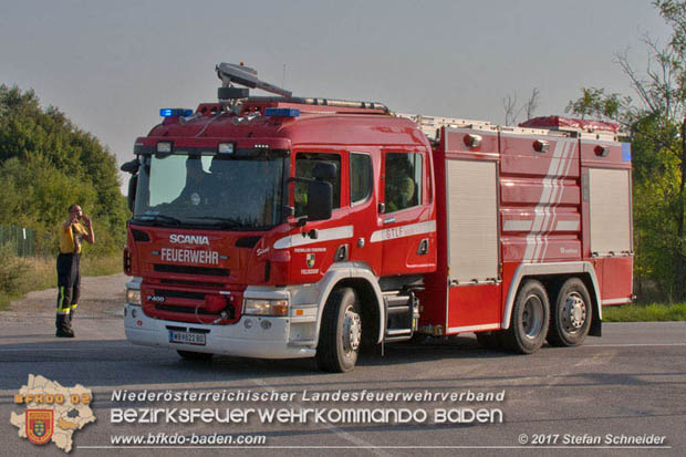 20170808 Flaechenbrand im Foehrenwald bei Haschendorf Grossmittel Bezirk Wr.Neustadt  Foto: © Stefan Schneider BFK Baden