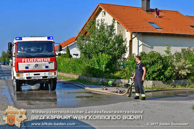 20170808 Flaechenbrand im Foehrenwald bei Haschendorf Grossmittel Bezirk Wr.Neustadt  Foto: © Stefan Schneider BFK Baden