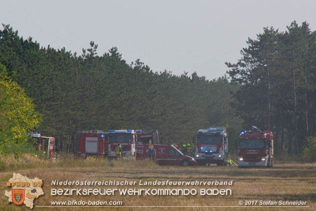 20170808 Flaechenbrand im Foehrenwald bei Haschendorf Grossmittel Bezirk Wr.Neustadt  Foto: © Stefan Schneider BFK Baden