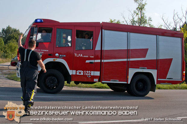 20170808 Flaechenbrand im Foehrenwald bei Haschendorf Grossmittel Bezirk Wr.Neustadt  Foto: © Stefan Schneider BFK Baden
