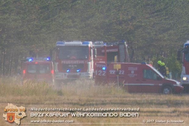 20170808 Flaechenbrand im Foehrenwald bei Haschendorf Grossmittel Bezirk Wr.Neustadt  Foto: © Stefan Schneider BFK Baden