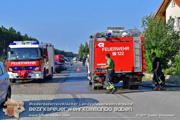 20170808 Flaechenbrand im Foehrenwald bei Haschendorf Grossmittel Bezirk Wr.Neustadt  Foto: © Stefan Schneider BFK Baden