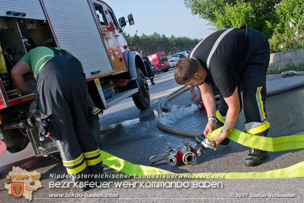 20170808 Flaechenbrand im Foehrenwald bei Haschendorf Grossmittel Bezirk Wr.Neustadt  Foto: © Stefan Schneider BFK Baden