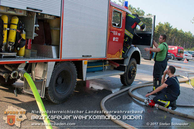 20170808 Flaechenbrand im Foehrenwald bei Haschendorf Grossmittel Bezirk Wr.Neustadt  Foto: © Stefan Schneider BFK Baden