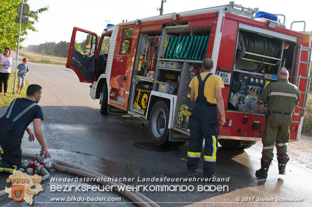 20170808 Flaechenbrand im Foehrenwald bei Haschendorf Grossmittel Bezirk Wr.Neustadt  Foto: © Stefan Schneider BFK Baden