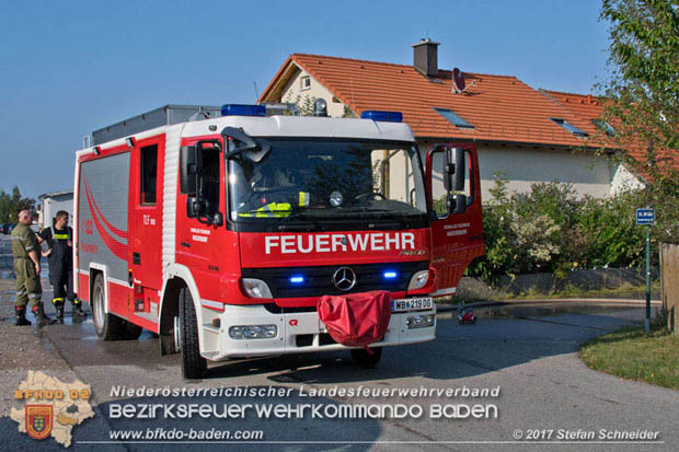 20170808 Flaechenbrand im Foehrenwald bei Haschendorf Grossmittel Bezirk Wr.Neustadt  Foto: © Stefan Schneider BFK Baden