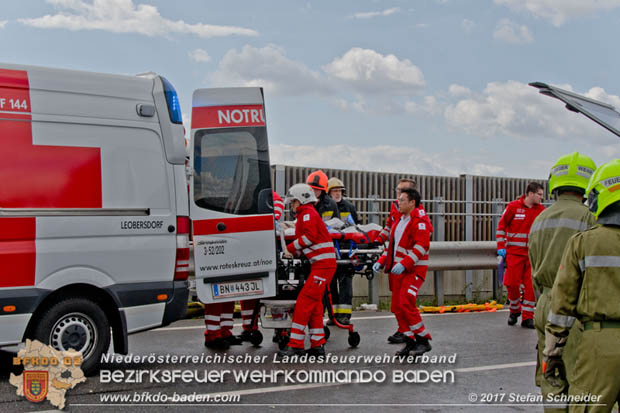 20170820 Frontalzusammenstoß Wohnmobil gegen Pkw auf der LB17 zwischen Sollenau und Günselsdorf/Schönau Foto: © Stefan Schneider BFK Baden 20170820 Frontalzusammenstoß Wohnmobil gegen Pkw auf der LB17 zwischen Sollenau und Günselsdorf/Schönau Foto: © Stefan Schneider BFK Baden