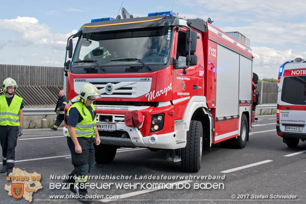 20170820 Frontalzusammenstoß Wohnmobil gegen Pkw auf der LB17 zwischen Sollenau und Günselsdorf/Schönau Foto: © Stefan Schneider BFK Baden 20170820 Frontalzusammenstoß Wohnmobil gegen Pkw auf der LB17 zwischen Sollenau und Günselsdorf/Schönau Foto: © Stefan Schneider BFK Baden