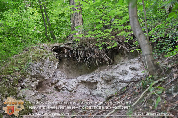 20170826 Felssturz am Badener Wegerl im Helenental fordert eine Teilsperre Foto: Stefan Schneider BFK Baden 20170826 Felssturz am Badener Wegerl im Helenental fordert eine Teilsperre Foto: Stefan Schneider BFK Baden