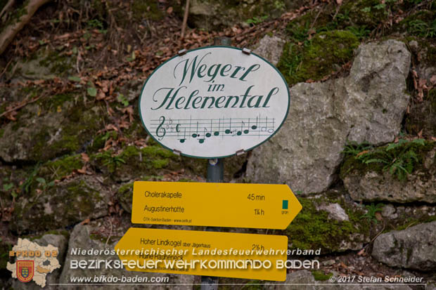 20170826 Felssturz am Badener Wegerl im Helenental fordert eine Teilsperre Foto: Stefan Schneider BFK Baden 20170826 Felssturz am Badener Wegerl im Helenental fordert eine Teilsperre Foto: Stefan Schneider BFK Baden