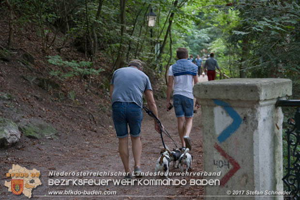 20170826 Felssturz am Badener Wegerl im Helenental fordert eine Teilsperre Foto: Stefan Schneider BFK Baden 20170826 Felssturz am Badener Wegerl im Helenental fordert eine Teilsperre Foto: Stefan Schneider BFK Baden