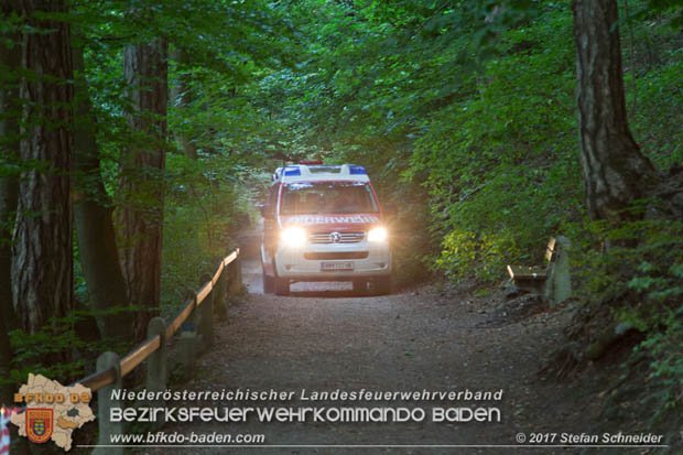 20170826 Felssturz am Badener Wegerl im Helenental fordert eine Teilsperre Foto: Stefan Schneider BFK Baden 20170826 Felssturz am Badener Wegerl im Helenental fordert eine Teilsperre Foto: Stefan Schneider BFK Baden