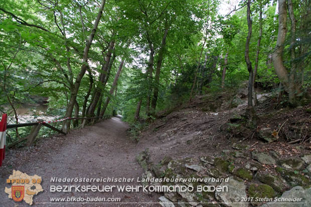 20170826 Felssturz am Badener Wegerl im Helenental fordert eine Teilsperre Foto: Stefan Schneider BFK Baden 20170826 Felssturz am Badener Wegerl im Helenental fordert eine Teilsperre Foto: Stefan Schneider BFK Baden
