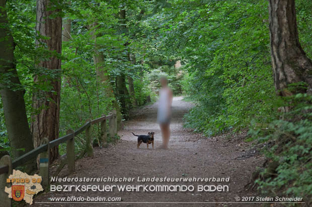 20170826 Felssturz am Badener Wegerl im Helenental fordert eine Teilsperre Foto: Stefan Schneider BFK Baden 20170826 Felssturz am Badener Wegerl im Helenental fordert eine Teilsperre Foto: Stefan Schneider BFK Baden