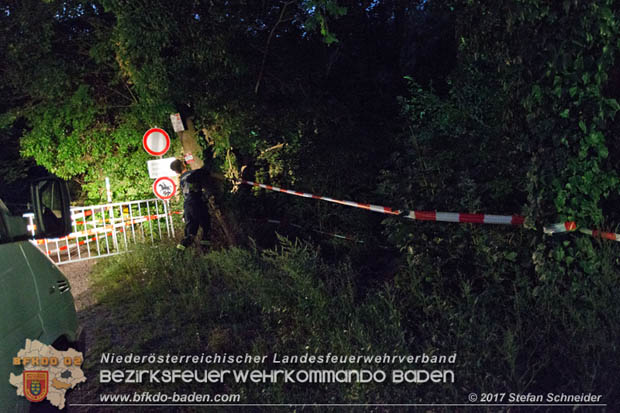 20170826 Felssturz am Badener Wegerl im Helenental fordert eine Teilsperre Foto: Stefan Schneider BFK Baden 20170826 Felssturz am Badener Wegerl im Helenental fordert eine Teilsperre Foto: Stefan Schneider BFK Baden