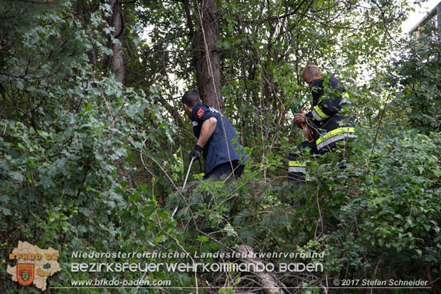 20170910 5 Tote und 3 Verletzte bei Verkehrsunfall auf der A21 bei Heiligenkreuz RFb Wien  Foto: © Stefan Schneider BFK Baden