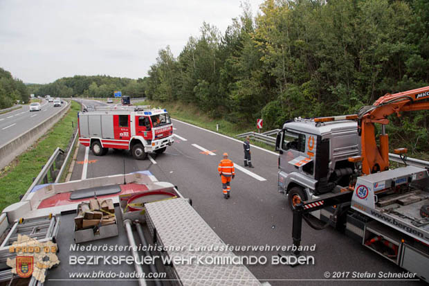 20170910 5 Tote und 3 Verletzte bei Verkehrsunfall auf der A21 bei Heiligenkreuz RFb Wien  Foto: © Stefan Schneider BFK Baden